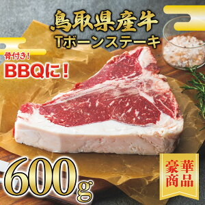 y挧Yz Xe[L T{[Xe[L 600g y ^pbN ē Xe[L Y Y A  ăMtg o[xL[z