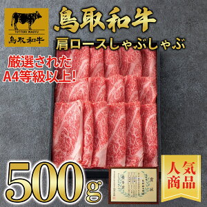 yazyјaz [X Ԃԗp 500g y A5N ܔ Ă Ԃ a Y Y  A  ăMtgz