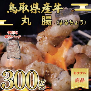 y挧Yz z ے (}`EEpCvE) 300g Xt y ^pbN ē  Y Y  A  ăMtg o[xL[z