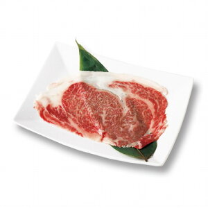 �y����a���z�y���јa���z ���[�X ���~�� �唻���[�X �ē��p 100g �ȈՕ�yA5�����N A4�����N �ē� �o�[�x�L���[ �Ă����� ���� ���Y �a�� �� ���� ���Y ���Y�� ��j�� �a���� �ăM�t�g �~�M