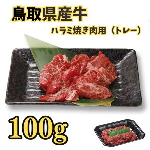 y挧Yzyјaz n~ ēp 100g y g[ ē  Y Y  A  ăMtg o[xL[z