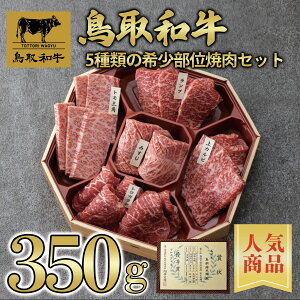 yaz 󏭕5Zbg 󏭕 ēp 350g y p` ē ZbgE荇킹  a Y Y  A  ăMtg o[xL[z