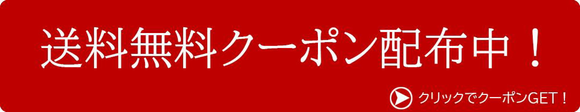 送料無料クーポン配布中