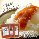 【沖縄豚肉みそ 100g×3】 送料無料 選べる 甘口 うま辛 ご飯のお供 おにぎり 具 肉味噌 沖縄 お試し 油みそ 時短 おかず味噌