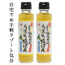 送料無料島一番の調味料屋が作ったシークヮーサー塩ぽん 150ml×2本工場直送 石垣の塩 シークワーサー