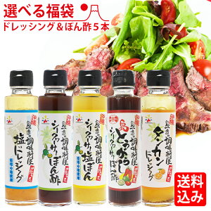 ����ԃV���[�Y�h���b�V���O���ۂ�|5�{���c �e150ml�@�t���[�c�h���b�V���O �|���Y ���꒲����