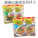 【送料込み】らくちんちゃんぷる〜ゴーヤー＆そうめん4袋セット赤マルソウ 使い切り 小袋タイプ ちゃんぷるーの素 お試しサイズ