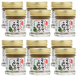 ቫꌧY100V[N[T[傤30g×12yY  V[N[T[ hq Mq傤  蒲