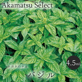 【ネコポス対応】 バジル 種子 4.5ml入り