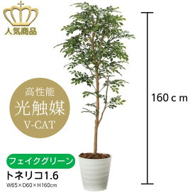 【送料無料】人工観葉植物 フェイクグリーン トネリコ1.6 2107A300-42 ［ W65×D60×H160cm ］ 光の楽園