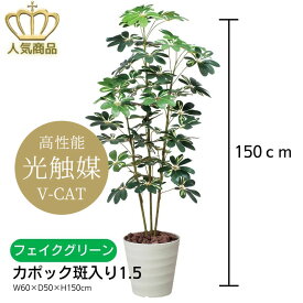 【送料無料】 人工観葉植物 フェイクグリーン カポック斑入り1.5 355K210-48 ［ W60×D50×H150cm ］ 光の楽園