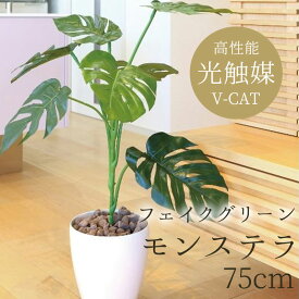 【送料無料】 光触媒 人工観葉植物 フェイクグリーン モンステラ75 225K120-52 ［ W60×D60×H75cm ］ 光の楽園