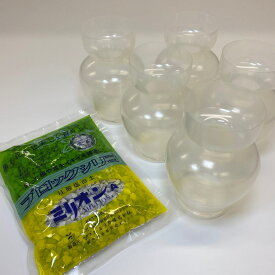 ●【資材】ヒヤシンス 水耕栽培容器 Aセット （容器5個、水質浄化剤1個）