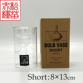 【資材】球根の水栽容器や切花の鑑賞に!BULB VASE SHORT(ヒヤシンス水栽培用容器)