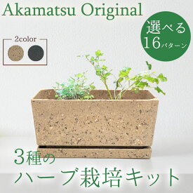 【送料無料】 選べる16テーマ！3種のハーブ栽培キット Akamatsu Original 種から育てるオーガニックハーブ