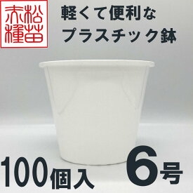 プラスチック鉢 6号 ホワイト 白 100個入 まとめ買い プラ鉢 ヤマトプラスチック