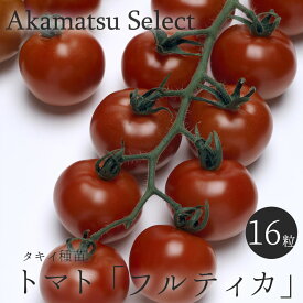 【ネコポス対応】 中玉トマト 種子 フルティカ DF タキイ交配 16粒入り