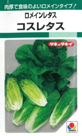 【 レタス種子 】コスレタス（1.8ml） 【ネコポス】 野菜の種 タキイ種苗