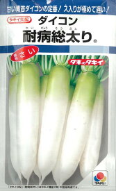 【大根種子】耐病総太り（16ml） ダイコン 【ネコポス】 野菜の種 タキイ種苗