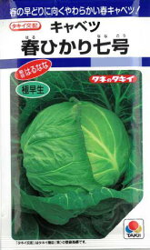 【 キャベツ種子 】春ひかり七号甘藍（1.8ml） 【ネコポス】野菜の種 タキイ種苗