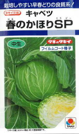 【 キャベツ種子 】春のかほりSP甘藍（150粒） 【ネコポス】 野菜の種 タキイ種苗