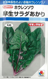 【 ホウレンソウ種子 】早生サラダあかり（9ml） ほうれんそう 【ネコポス】 野菜の種 タキイ種苗