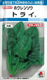 【 ホウレンソウ種子 】トライ（22ml） ほうれんそう 【ネコポス】 野菜の種 タキイ種苗
