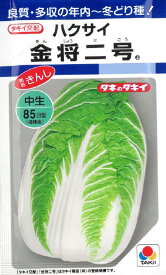 【 白菜種子 】金将二号白菜（2.2ml） ハクサイ 野菜の種 タキイ種苗