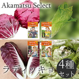 【送料無料】 ラディッキオ チコリー 種子 4品種アソートセット