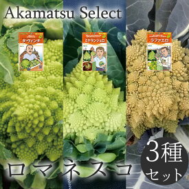 【送料無料】 ロマネスコ 種子 3種 3品種セット