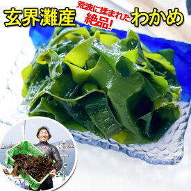 釜揚げわかめ 1200g 120gx10個 海藻 わかめ ワカメ 玄界灘産 食物繊維 宗像 塩蔵わかめです。お客様のアフタフォローに心がけています。美味しく毎日食べていてもらえるようになってますので賞味ください。