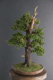 楽天市場 杉 盆栽の通販