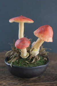 ~ ^}S^P #90iԁjyMtgobOΉz