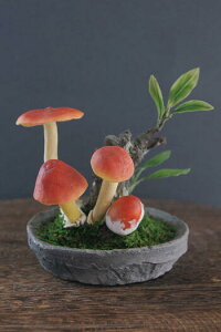 ~ ^}S^P #91iԁjyMtgobOΉz