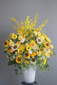 yOX^Czq} × [Y rJzCgx[Xiԁj