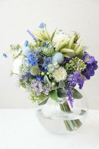 u[All×XJrITu[P {[x[XiԁjytOXIvVz