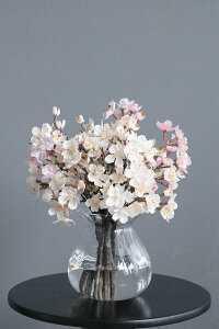 J t{[Yx[XiԁjytOXIvVz