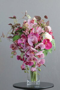 sN[Y×Ӓ Nlbgx[XiԁjytOXIvVz