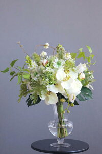 zCg䉖×Ӓ u[PX^hx[XiԁjytOXIvVz