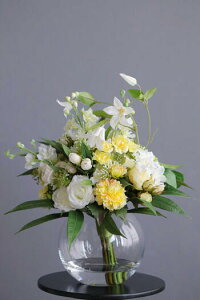 o×ftBjEu[P {[x[XiԁjytOXIvVz