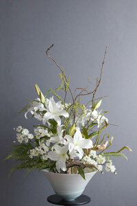 zCgJTuJ × | Mt iԁj