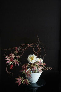 e × gt × | Mt ԓiԁj