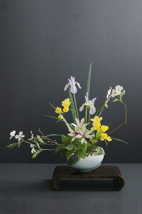 ACX × t[WA × | Mt iԁj