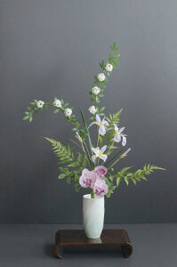 ACX × ł܂ × | Mt ԓiԁj