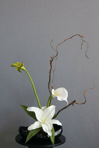 JTuJ×zCgJ[ aX^CiꕔԍޕύXjiԁj