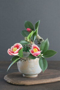 ~́@ʔVY R #134iԁjyMtgobOΉz