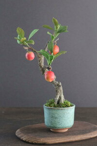 ~ ~jь #136iԁjyMtgobOΉz