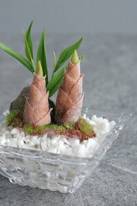 ~  #148iԁjyMtgobOΉz