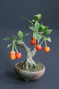 ~  #167iԁjyMtgobOΉz