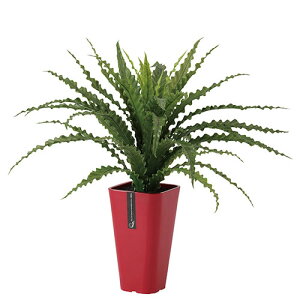 yԕiszAXvjE L / H65TCY / lHO[